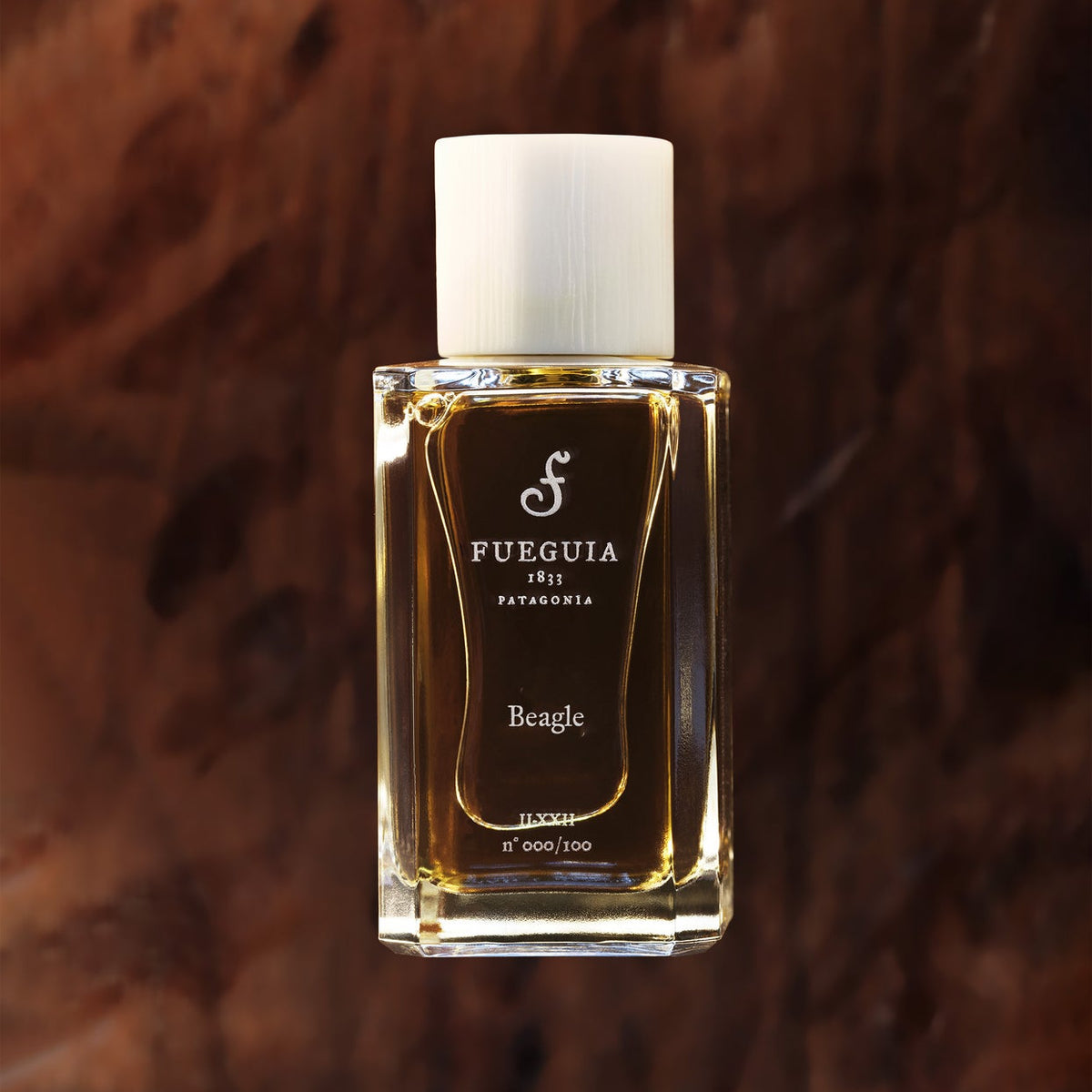 Beagle– Fueguia 1833 Argentina