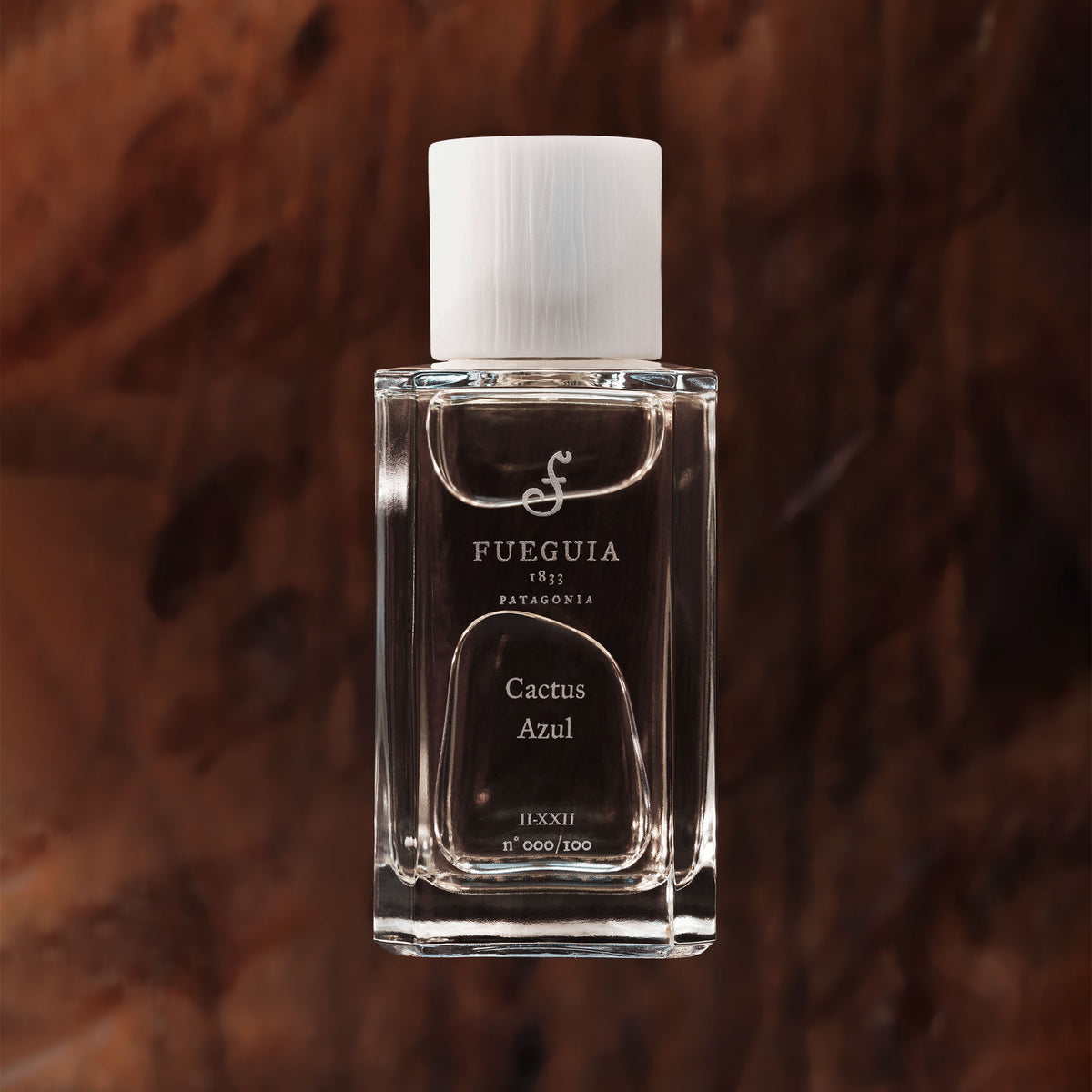 Cactus Azul– Fueguia 1833 Argentina