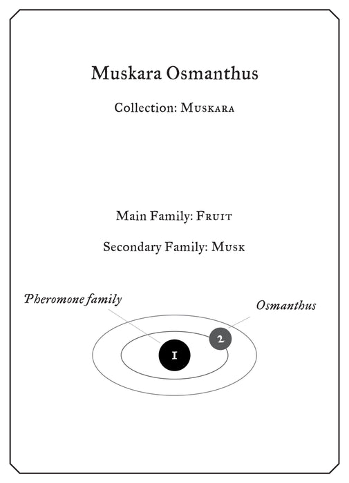 Muskara Osmanthus